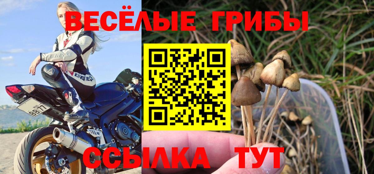магазин продажи наркотиков  Псилоцибиновые грибы мицелий  Вход с VPN  Галлюциногенные грибы мухоморы  Скопин 
